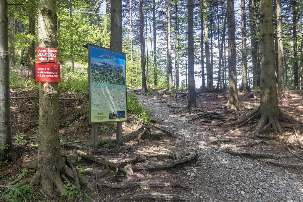 Gostilna Pension Blegos Poljane nad Škofjo Loko Eksteriør bilde