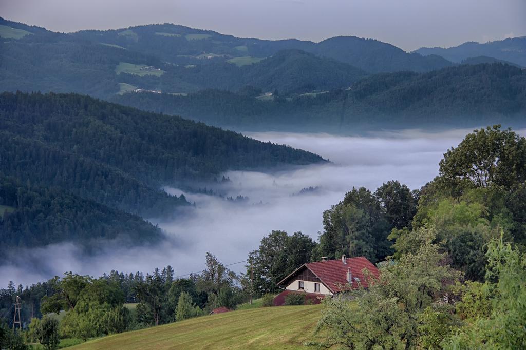 Gostilna Pension Blegos Poljane nad Škofjo Loko Eksteriør bilde